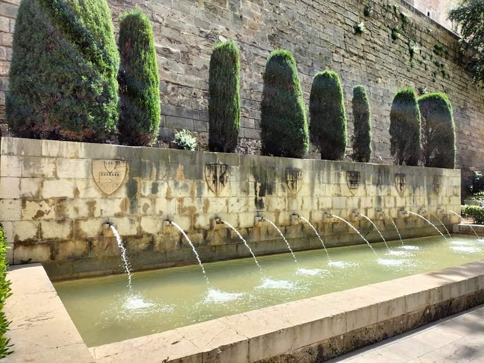 ⚡Ab Mai 2026 🧭Auf den Spuren der Piraten Mallorcas 🏴‍☠️ Fototour Altstadt Palma.✨ Ideal für Gäste, die die Atmosphäre der Altstadt intensiv erleben möchten.