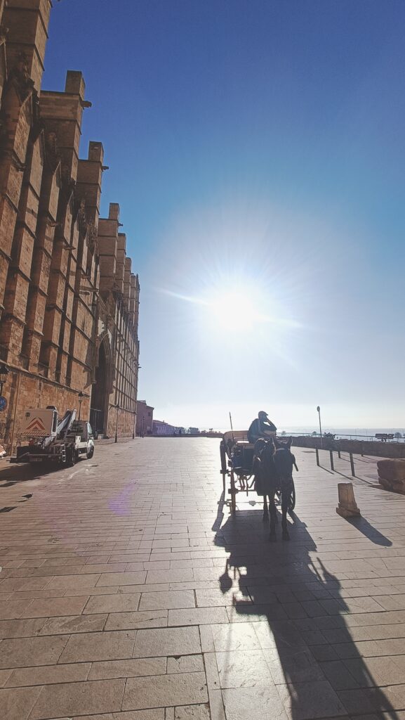 ⚡Ab Mai 2026 🧭Auf den Spuren der Piraten Mallorcas 🏴‍☠️ Fototour Altstadt Palma.✨ Ideal für Gäste, die die Atmosphäre der Altstadt intensiv erleben möchten.