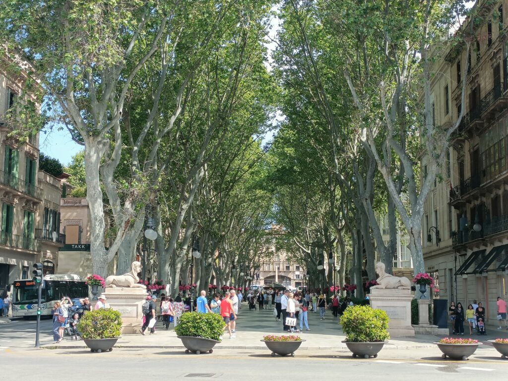 ⚡Ab Mai 2026 🧭Auf den Spuren der Piraten Mallorcas 🏴‍☠️ Fototour Altstadt Palma.✨ Ideal für Gäste, die die Atmosphäre der Altstadt intensiv erleben möchten.