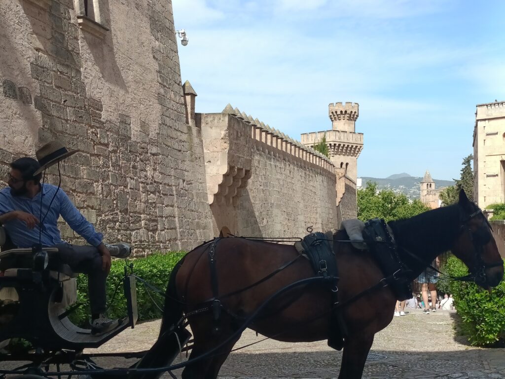 ⚡Ab Mai 2026 🧭Auf den Spuren der Piraten Mallorcas 🏴‍☠️ Fototour Altstadt Palma.✨ Ideal für Gäste, die die Atmosphäre der Altstadt intensiv erleben möchten.